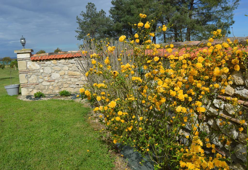 Le Coteau De Bazeille Sauna&Detente Sas Sainte-Bazeille Dış mekan fotoğraf