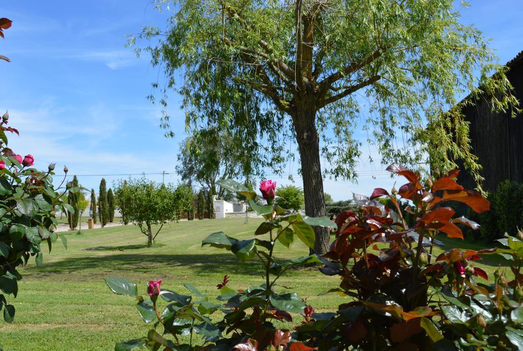 Le Coteau De Bazeille Sauna&Detente Sas Sainte-Bazeille Dış mekan fotoğraf