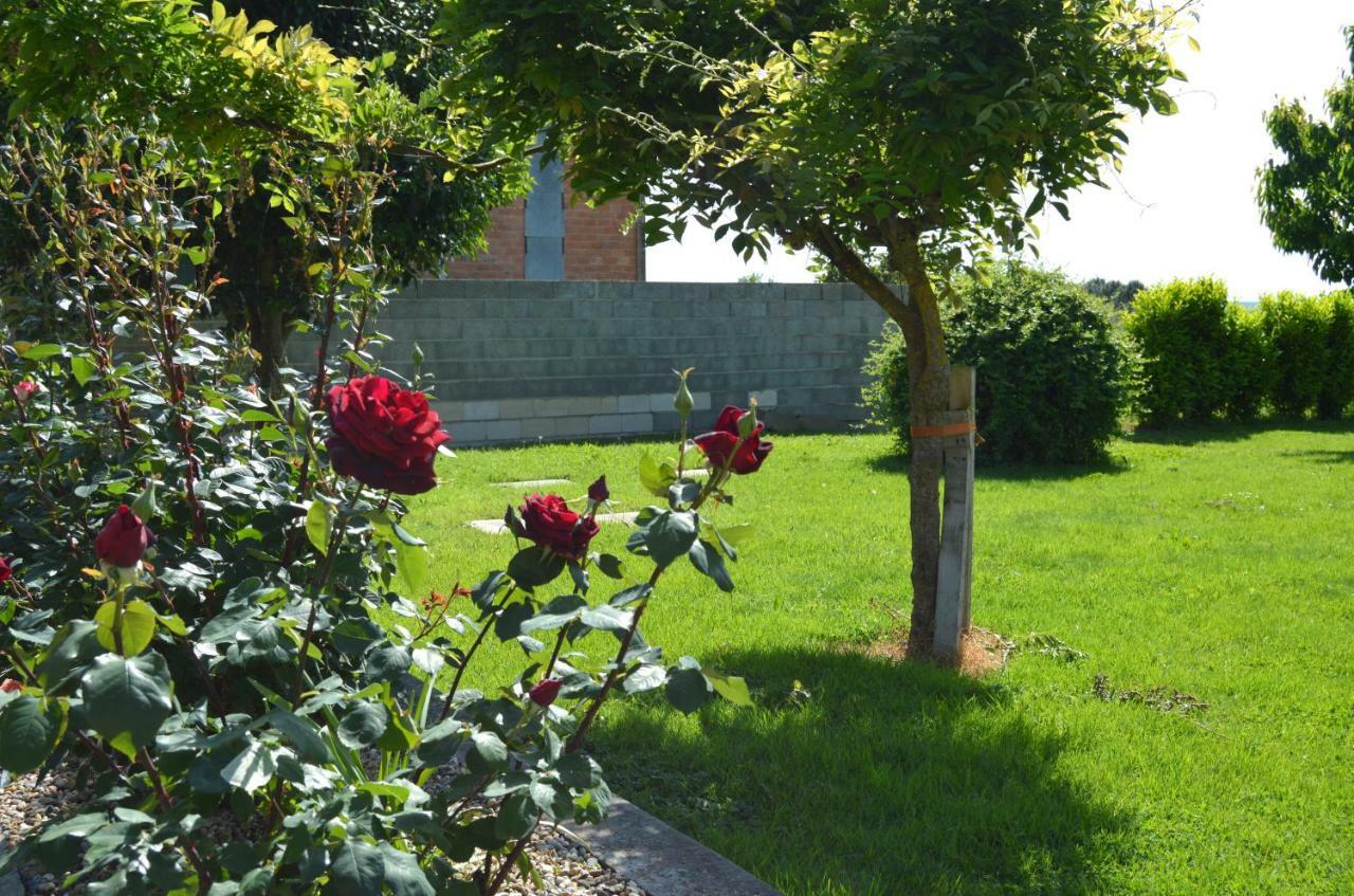 Le Coteau De Bazeille Sauna&Detente Sas Sainte-Bazeille Dış mekan fotoğraf