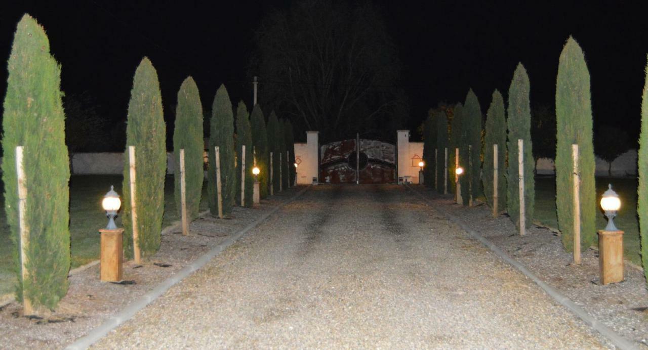 Le Coteau De Bazeille Sauna&Detente Sas Sainte-Bazeille Dış mekan fotoğraf